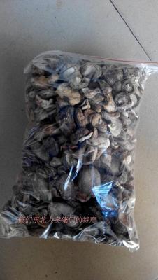 新品食用农产品中国大陆东北黑龙江牡丹江市人气优等香菇类250克