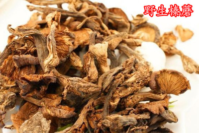 人气野生榛蘑延边朝鲜族自治州吉林省食用大陆中国农产品香菇类