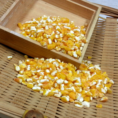 5份包邮大笨碴子400克单品黑龙江齐市特产玉米碴苞米茬初级农产品