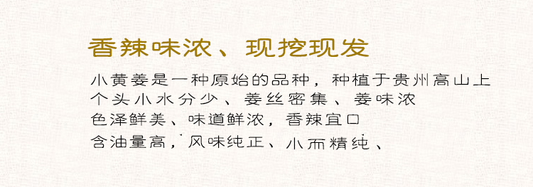 贵州新鲜小黄姜农家自种生姜老姜土姜 高山月子姜现挖现发5斤包邮