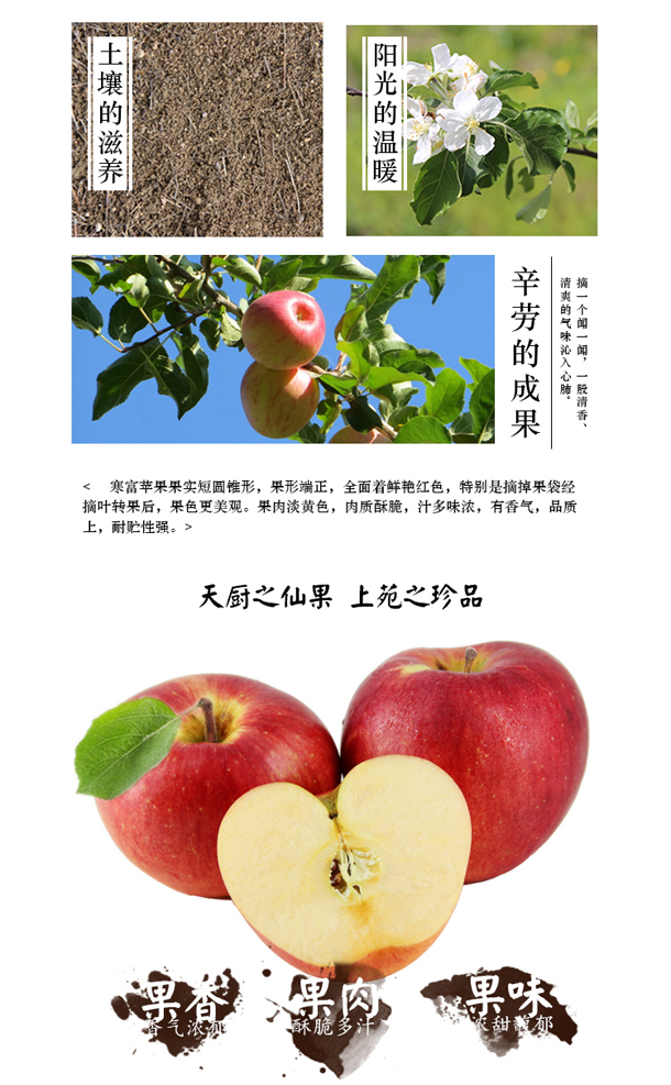 包邮新鲜水果寒富大苹果10斤辽宁农产品特产