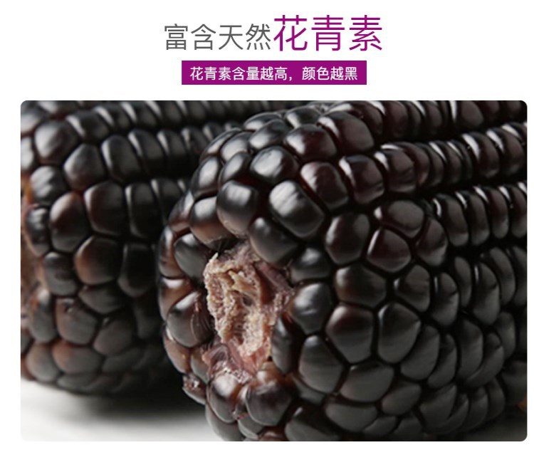 黑糯玉米8根特产山西新鲜香糯玉米棒包邮杂粮营养休闲食品 农产品