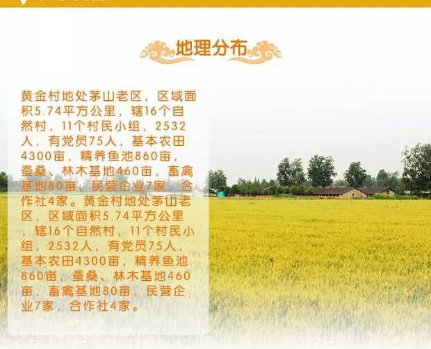 农产品2017新绿色米金坛黄金村软米江苏大米、绿色健康