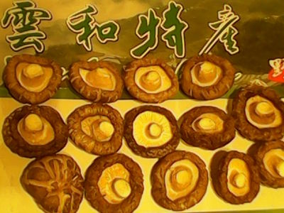 干货农产品浙江丽水土特产香菇中大菇500克香菇包邮蘑菇干货