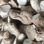 丽水市食用农产品浙江省500g香菇香菇类正品新款特价促销香菇菌包