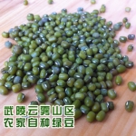 重庆黔江土特产 绿豆 五谷杂粮 农家自种粗粮 农产品自留种子绿豆