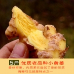 贵州新鲜小黄姜...