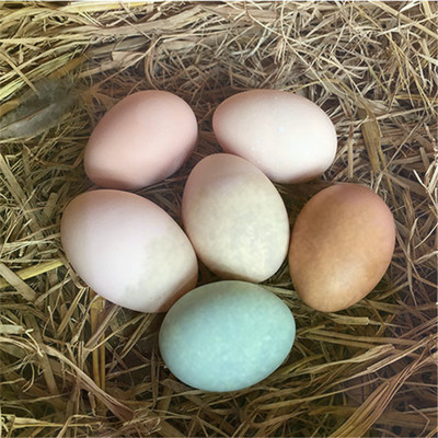 香港 农家产品散养放养正特产宗新鲜纯天然禽土山鸡蛋做法