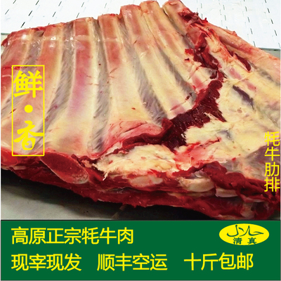 牦牛公社 青海省初级农产品生牛排 牛肋排 生鲜青海清真肋排
