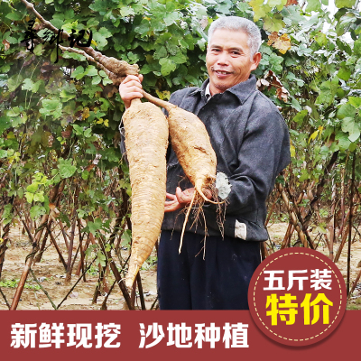 广东清远土特产农家农产品煲汤新鲜粉葛 无渣 现挖鲜葛根葛薯5斤