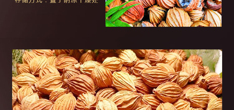 贵州宏冠老字号土特产香砂仁250克天然烹饪调味卤料散装农产品