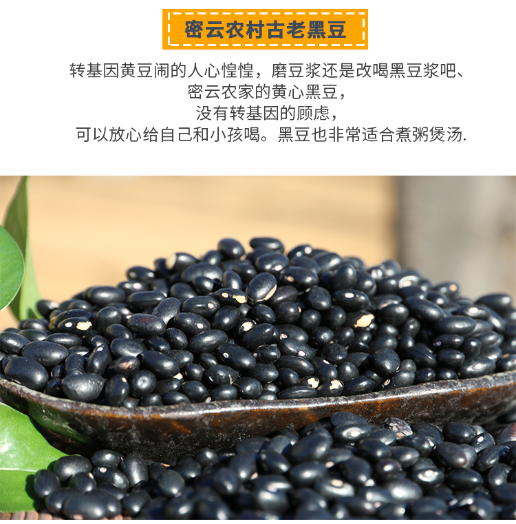 广东茂名农家出产地道黑豆   农家产品   绿色无添加