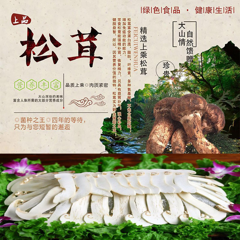 省吉林中国野生东北土特产品松茸大陆食用农产品干货土特产松茸菌