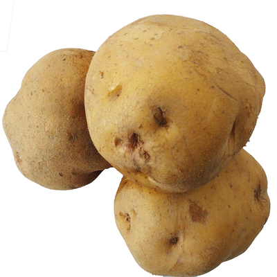 17年新鲜土豆现挖农家自种青海小土豆农产品马铃薯洋芋5斤包邮