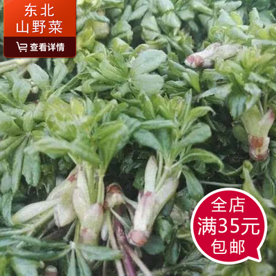 黑龙江速冻山野菜宾县东北刺五加叶嫩芽刺拐棒250克蔬菜农产品