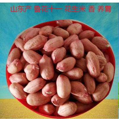 裕地泽香牌花生米5斤鲁十一去壳产地山东青岛食用农产品中国大陆