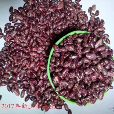 贵州毕节大方农家种植优质红花豆精豆花豆四季豆  17年新产品
