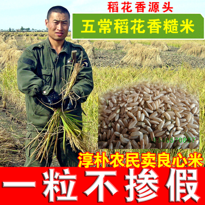 五常大米糙米食用农产品东北黑龙江五常市农民直供稻花香优质糙米
