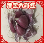 农家种植 有机食品 宝坻大蒜天津特产 紫皮大蒜 辫子蒜 50头辫子